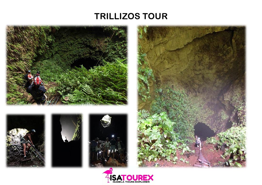 poster trillizos isatourex